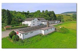 Haus kaufen in 34388 Trendelburg, Trendelburg - Interessante Wohn-und Gewerbeimmobilie mit viel Fläche, innen wie außen