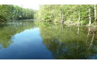 Haus kaufen in 04680 Colditz, Colditz - Haus 60m2 generalsaniert mit eigenem See