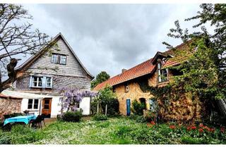 Haus kaufen in 64832 Babenhausen, Babenhausen - Charmantes saniertes Fachwerkhaus mit abgeschirmtem Garten in Ort