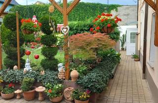 Wohnung mieten in Johannistraße 19, 06429 Nienburg, 1-Zimmer Wohnung in Nienburg (Saale)