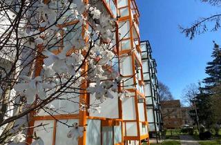 Wohnung mieten in Wilhelm-Bieser-Str., 06844 Innenstadt, Erdgeschosswohnung in beliebter Wohnlage