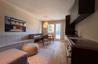 Wohnung mieten in 10179 Mitte, Mitte: Köpenicker Str: LUXUS 2-Zi-Whg mit 55 m² inkl. RIESEN SÜD Terrasse - per SOFORT zu VERMIETEN