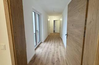 Wohnung mieten in Riedenweg 10, 35415 Pohlheim, Erstbezug: Helle 3-Zimmer Wohnung mit Balkon in Pohlheim