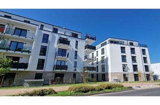 Wohnung mieten in Dürerstrasse 14 b, 55543 Bad Kreuznach, Schöne helle 2-Zimmerwohnung mit offener Küche und Balkon!