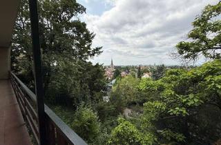 Wohnung mieten in 69120 Neuenheim, Bestlage Heidelberg Neuenheim - Fernblick - Zentral Wohnen mitten im Grünen