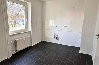 Wohnung mieten in Donnersbergstraße 69, 67657 Innenstadt, * Klein aber FEIN * Singlewohnung FÜR 1 PERSON - RENOVIERT ab 16.12. * Duschbad * nähe Volkspark *