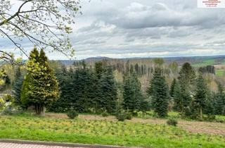 Haus kaufen in 09405 Gornau, Architektenhaus mit Einliegerwohnung in ruhiger Waldrandlage in Gornau, Erzgebirge – nahe Chemnitz