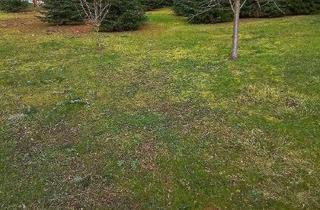 Haus kaufen in 37269 Eschwege, Das schlanke Town & Country Doppelhaus in Eschwege OT Oberdünzebach – urbanes Wohnen zweifach gen...