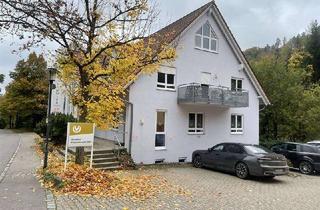 Haus kaufen in Johanniterstraße 54, 72160 Horb, Großzügiges Wohn und Geschäfts-Haus in Horb am Neckar