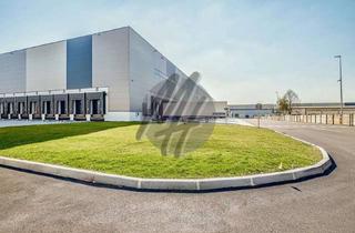 Büro zu mieten in 63755 Alzenau, KEINE PROVISION ✓ WGK-3 ✓ RAMPE + EBEN ✓ Lager-/Logistik (8.000 m²) & Büro (300 m²)