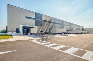 Büro zu mieten in 63741 Nilkheim, KEINE PROVISION ✓ WGK-3 ✓ RAMPE + EBEN ✓ Lager-/Logistik (8.000 m²) & Büro (300 m²)