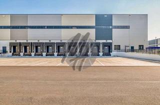 Büro zu mieten in 63452 Hanau, KEINE PROVISION ✓ WGK-3 ✓ RAMPE + EBEN ✓ Lager-/Logistik (8.000 m²) & Büro (300 m²)
