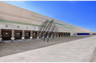 Büro zu mieten in 63741 Nilkheim, KEINE PROVISION ✓ WGK-3 ✓ RAMPE + EBEN ✓ Lager-/Logistik (25.000 m²) & Büro (1.000 m²)