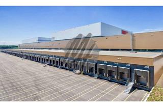 Büro zu mieten in 63755 Alzenau, KEINE PROVISION ✓ WGK-3 ✓ RAMPE + EBEN ✓ Lager-/Logistik (25.000 m²) & Büro (1.000 m²)