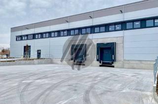 Büro zu mieten in 65451 Kelsterbach, KEINE PROVISION ✓ NÄHE FLUGHAFEN ✓ Lager-/Logistik (2.000 m²) & Büro (1.200 m²)