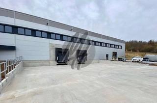 Büro zu mieten in 65479 Raunheim, KEINE PROVISION ✓ NÄHE FLUGHAFEN ✓ Lager-/Logistik (2.000 m²) & Büro (1.200 m²)