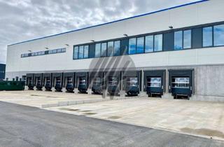 Büro zu mieten in 63452 Hanau, KEINE PROVISION ✓ NEUBAU / ERSTBEZUG ✓ Lager-/Logistik (7.500 m²) & Büro-/Sozial (500 m²)