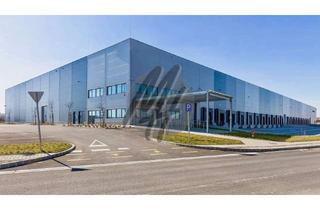 Büro zu mieten in 63452 Hanau, KEINE PROVISION ✓ NEUBAU / ERSTBEZUG ✓ Lager-/Logistik (25.500 m²) & Büro-/Sozial (1.000 m²)