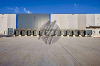 Büro zu mieten in 63452 Hanau, KEINE PROVISION ✓ NEUBAU / ERSTBEZUG ✓ Lager-/Logistik (20.000 m²) & Büro-/Sozial (1.000 m²)