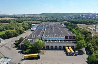 Gewerbeimmobilie mieten in 55268 Nieder-Olm, Lager- und Logistikflächen direkt an der A63
