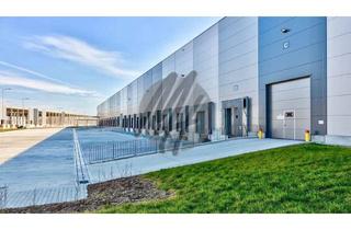 Büro zu mieten in 63452 Hanau, KEINE PROVISION ✓ NEUBAU / ERSTBEZUG ✓ Lager-/Logistik (11.500 m²) & Büro-/Sozial (500 m²)