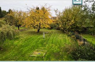 Grundstück zu kaufen in 49477 Ibbenbüren, Großes Baugrundstück mit Altimmobilie 1221m²