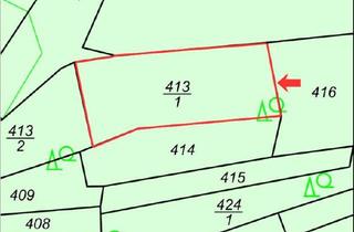 Grundstück zu kaufen in 53505 Kalenborn, Altenahr-Landwirtschaftliche Fläche/ Nadelwald zu verkaufen