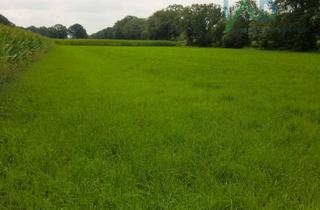 Grundstück zu kaufen in 25368 Kiebitzreihe, Attraktives Baugrundstück in Bauerwartungsland – Jetzt investieren und Zukunft sichern!