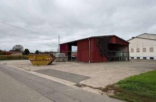 Grundstück zu kaufen in 76872 Freckenfeld, ++ Großzügiges Baugrundstück für Wohnhaus in Feldrandlage ! ++