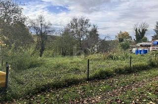 Grundstück zu kaufen in 79379 Müllheim, GUT UND NATURNAH GELEGEN