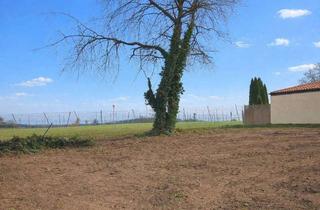 Grundstück zu kaufen in Hochweg, 85084 Reichertshofen, Großes Grundstück in Ortsrandlage