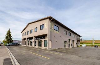 Büro zu mieten in 85276 Pfaffenhofen, Büroflächen zu vermieten