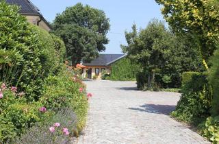 Immobilie mieten in 01468 Moritzburg, Apartment, teilmöbliert, EBK, Terrasse und PKW- Stellplatz