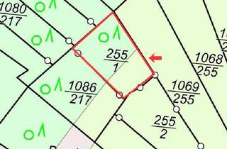 Gewerbeimmobilie kaufen in 53505 Altenahr, Altenahr: Landwirtschaftliches Grundstück für Winzer