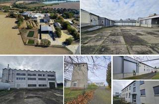 Geschäftslokal mieten in 04668 Grimma, Teilanmietung ab 500 m² für Bestandsgebäude (ca. 13.000 m² NF) von Halle, Lager, Büro, gew. Wohnen, Werkstatt