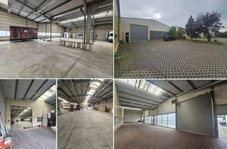 Geschäftslokal mieten in 04416 Markkleeberg, Warmlagerhalle im Gewerbegebiet Wachau - gr. elektr. Rolltor, ca. 12 SP mgl. - Gesamtfläche auf max. 970 m² erweiterbar