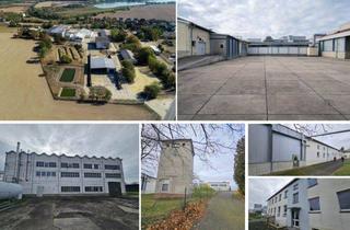 Gewerbeimmobilie kaufen in 04668 Grimma, GS mit Bestand aus Hallen, Garagen, Büros, Sozialräumen u.v.m. auf ca. 3,3 ha GS, ca. 89 SP