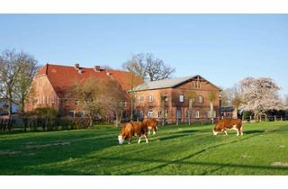 Wohnung mieten in Dorfstraße, 25373 Ellerhoop, 4 Zimmer Wohnung auf einem Bauernhof