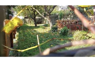 Haus kaufen in 65391 Lorch, Elegantes Fachwerkjuwel in ruhiger Lorchlage mit beeindruckendem Rheinblick