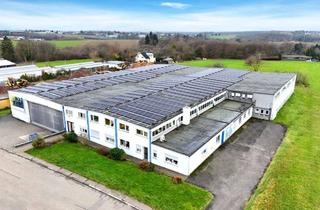 Gewerbeimmobilie mieten in 66954 Pirmasens, Vielseitige Gewerbehalle im Naturheil-Gewerbegebiet Pirmasens