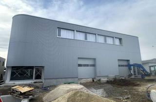 Büro zu mieten in 78247 Hilzingen, Beeindruckende Gewerbeimmobilie! Moderne Neubau Halle mit Büros nach Absprache zu vermieten.