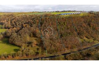 Grundstück zu kaufen in 74523 Schwäbisch Hall, Mischwald in Hanglage – Zwei Parzellen bei Gelbingen