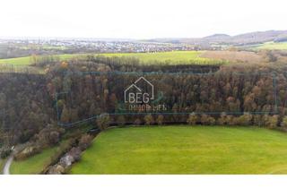 Grundstück zu kaufen in 74523 Schwäbisch Hall, Naturnahes Waldstück mit Forstweg und Holzlagerplätzen
