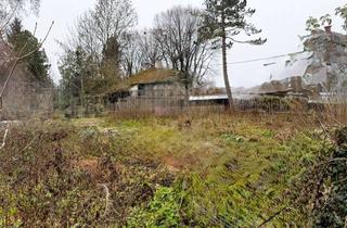 Grundstück zu kaufen in 80995 Feldmoching-Hasenbergl, Rarität im Münchner Norden: Großes Baugrundstück mit außergewöhnlichem Potenzial