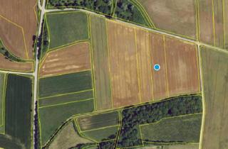Grundstück zu kaufen in Flurstück 1407, 86650 Wemding, Ackerfläche 7.094 m² in Wemding