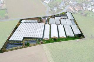 Grundstück zu kaufen in 53894 Mechernich, Biozertifizierter Gartenbaubetrieb in Mechernich, auch als Bauland