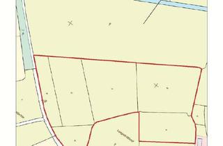 Gewerbeimmobilie kaufen in 26506 Norden, Grünländereien (ca. 6,34 ha) in Norden, Westermarsch I - Leegetriftland!
