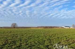 Gewerbeimmobilie kaufen in 14542 Werder (Havel), Landwirtschaftliche Nutzfläche in Plötzin
