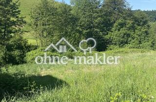 Immobilie kaufen in 69517 Gorxheimertal, Grundstück für ein Ein/Mehrfamilienhaus in sonniger Lage zu verkaufen
