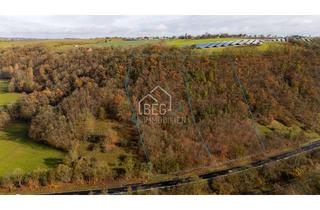 Immobilie kaufen in 74523 Schwäbisch Hall, Mischwald in Hanglage – Zwei Parzellen bei Gelbingen